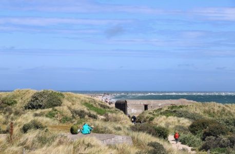 the deadly picnic pdf answers